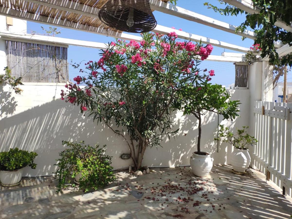 Lydia'S Charming House In Naoussa别墅 外观 照片